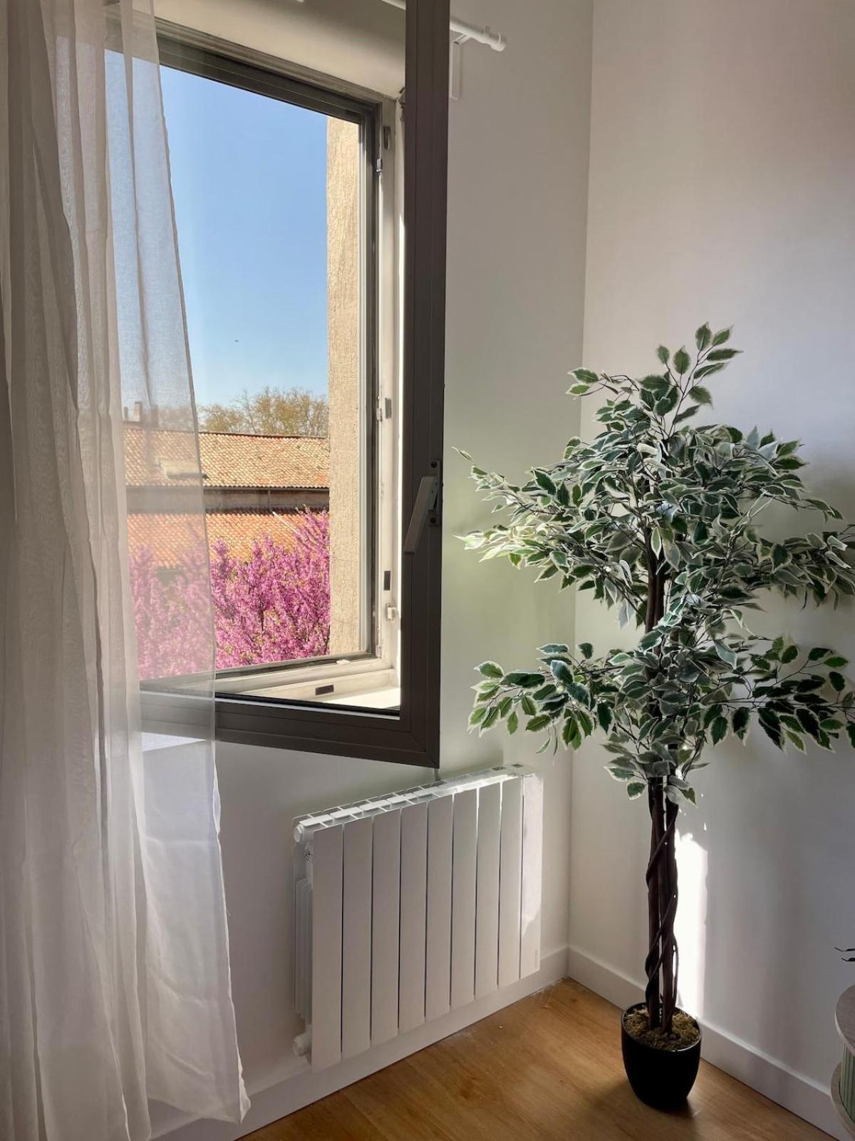 Botanic Escape With Balcony & Candle Bath Ritual - Pets Welcome *